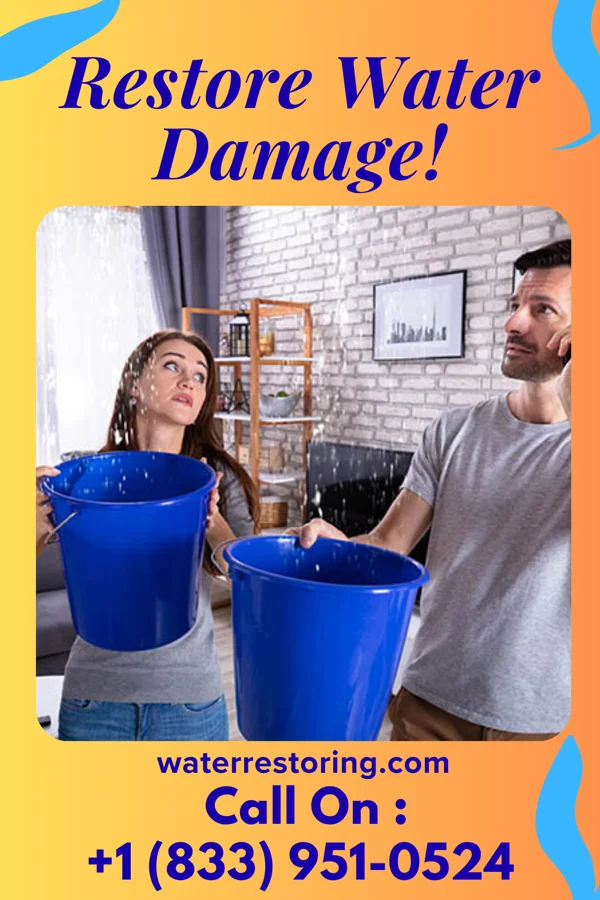 water restoration Ideal Water Cleanup Professionals Winton