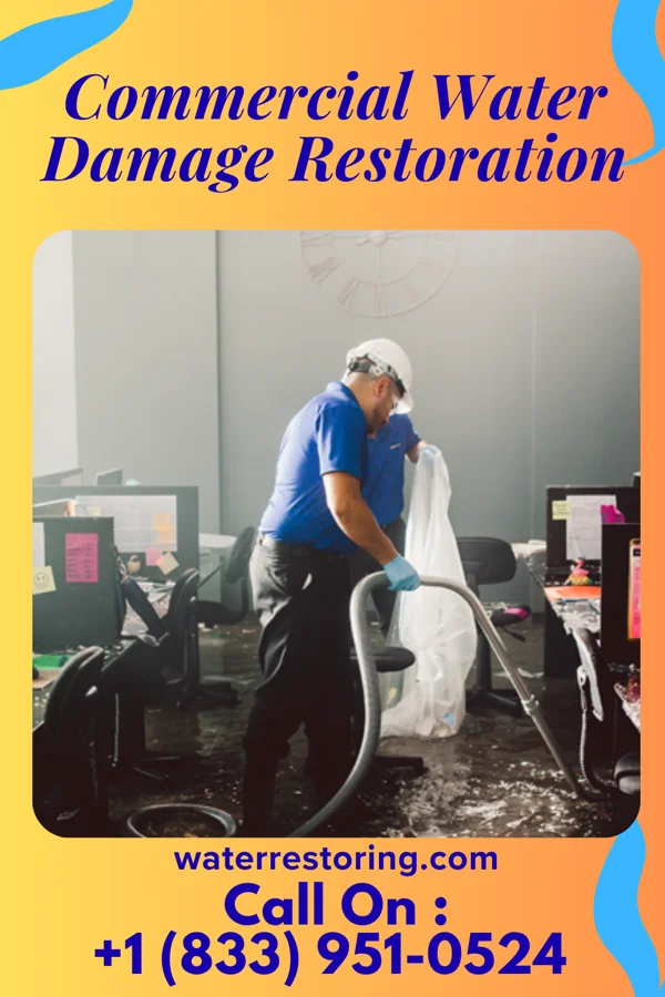 Commercial Water Damage Restoration in Winton, NC