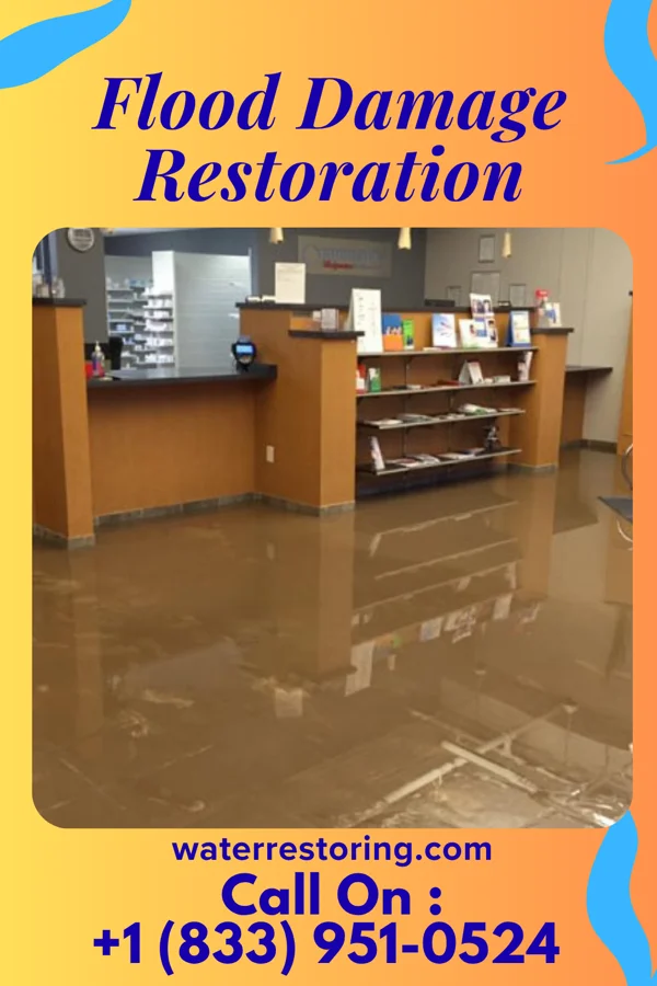 Flood Damage Restoration in Winton, NC